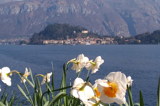 Tour image 3